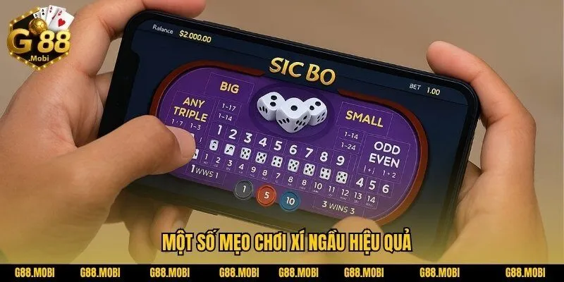 Những Loại Hình Phổ Biến Trong Game Bài Xí Ngầu